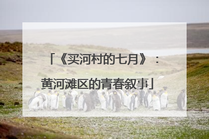 《买河村的七月》：黄河滩区的青春叙事