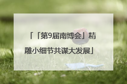 「第9届南博会」精雕小细节共谋大发展