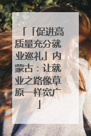 「促进高质量充分就业巡礼」内蒙古：让就业之路像草原一样宽广