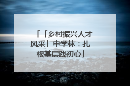「乡村振兴人才风采」申学林：扎根基层践初心