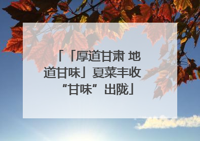 「厚道甘肃 地道甘味」夏菜丰收 “甘味”出陇