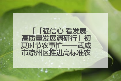 「强信心 看发展·高质量发展调研行」初夏时节农事忙——武威市凉州区推进高标准农田建设见闻