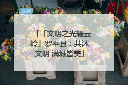 「文明之光耀云岭」罗平县：共沐文明 满城皆美