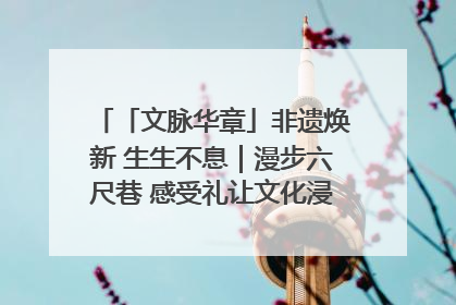 「文脉华章」非遗焕新 生生不息｜漫步六尺巷 感受礼让文化浸润的“巷”往生活
