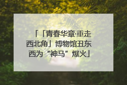 「青春华章·重走西北角」博物馆丑东西为“神马”爆火