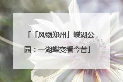 「风物郑州」蝶湖公园：一湖蝶变看今昔