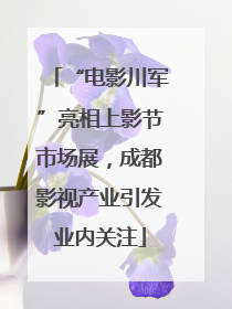 “电影川军”亮相上影节市场展，成都影视产业引发业内关注