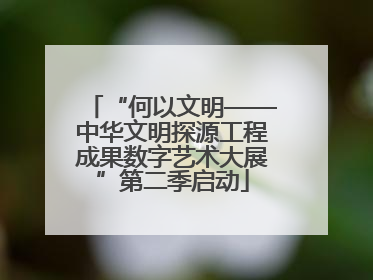 “何以文明——中华文明探源工程成果数字艺术大展”第二季启动