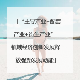 “主导产业+配套产业+衍生产业” 镇域经济创新发展释放强劲发展动能