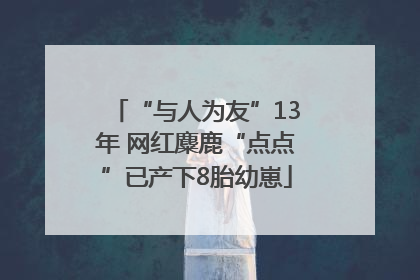 “与人为友”13年 网红麋鹿“点点”已产下8胎幼崽