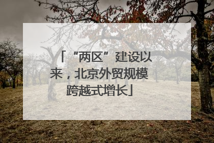“两区”建设以来，北京外贸规模跨越式增长