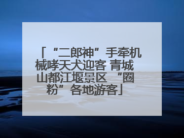 “二郎神”手牵机械哮天犬迎客 青城山都江堰景区 “圈粉”各地游客