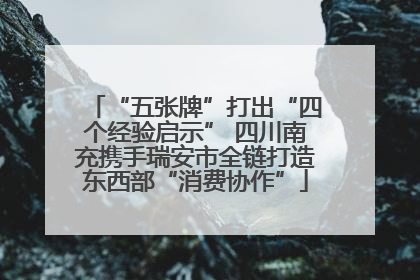 “五张牌”打出“四个经验启示” 四川南充携手瑞安市全链打造东西部“消费协作”