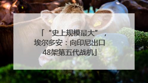 “史上规模最大”，埃尔多安：向印尼出口48架第五代战机