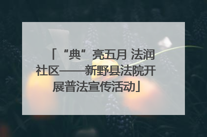 “典”亮五月 法润社区——新野县法院开展普法宣传活动