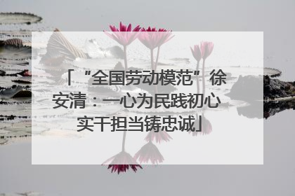 “全国劳动模范”徐安清：一心为民践初心 实干担当铸忠诚