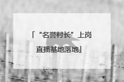 “名誉村长”上岗 直播基地落地
