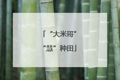 “大米哥”“慧”种田