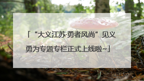“大义江苏·勇者风尚”见义勇为专题专栏正式上线啦~