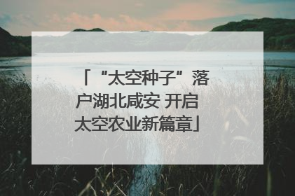 “太空种子”落户湖北咸安 开启太空农业新篇章