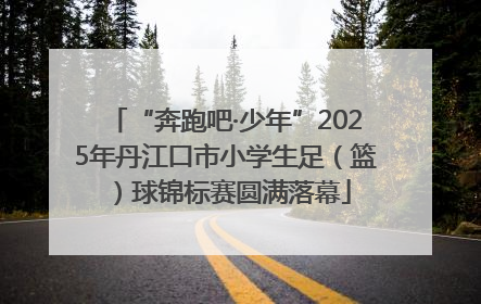 “奔跑吧·少年”2025年丹江口市小学生足（篮）球锦标赛圆满落幕