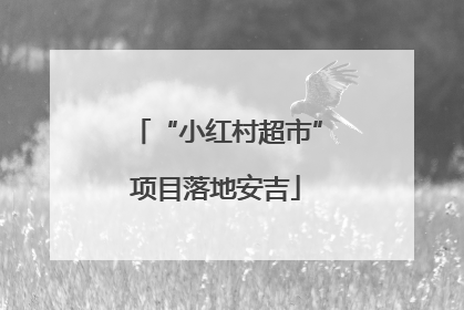 “小红村超市”项目落地安吉