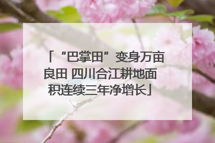 “巴掌田”变身万亩良田 四川合江耕地面积连续三年净增长