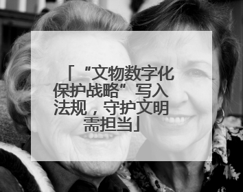 “文物数字化保护战略”写入法规，守护文明需担当