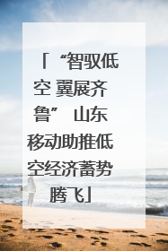 “智驭低空 翼展齐鲁” 山东移动助推低空经济蓄势腾飞