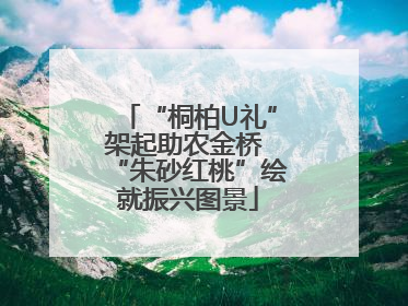 “桐柏U礼”架起助农金桥 “朱砂红桃”绘就振兴图景