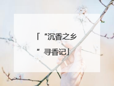 “沉香之乡”寻香记