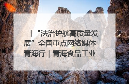 “法治护航高质量发展”全国重点网络媒体青海行｜青海食品工业协会：架起“青字号”美食的产业化桥梁
