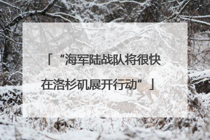 “海军陆战队将很快在洛杉矶展开行动”