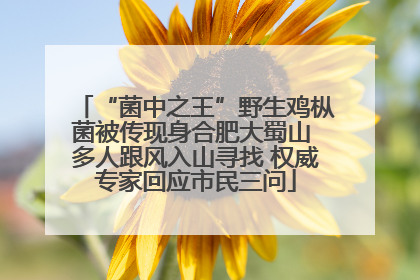 “菌中之王”野生鸡枞菌被传现身合肥大蜀山 多人跟风入山寻找 权威专家回应市民三问