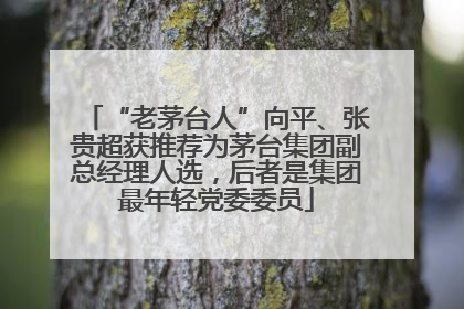 “老茅台人”向平、张贵超获推荐为茅台集团副总经理人选，后者是集团最年轻党委委员