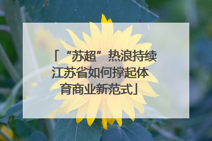 “苏超”热浪持续 江苏省如何撑起体育商业新范式