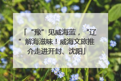 “豫”见威海蓝，“辽”解海滋味！威海文旅推介走进开封、沈阳