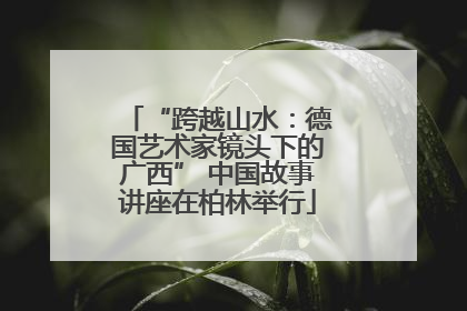 “跨越山水：德国艺术家镜头下的广西” 中国故事讲座在柏林举行