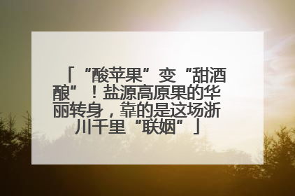“酸苹果”变“甜酒酿”！盐源高原果的华丽转身，靠的是这场浙川千里“联姻”