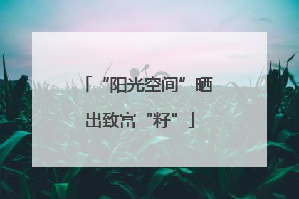 “阳光空间”晒出致富“籽”
