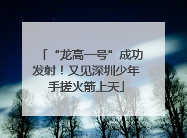 “龙高一号”成功发射！又见深圳少年手搓火箭上天