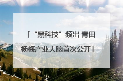 “黑科技”频出 青田杨梅产业大脑首次公开