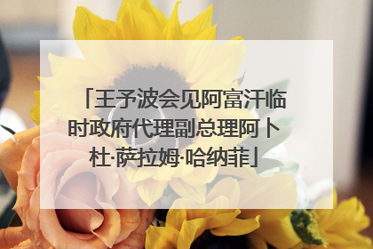 王予波会见阿富汗临时政府代理副总理阿卜杜·萨拉姆·哈纳菲