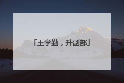 王学勤，升副部