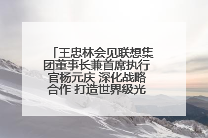 王忠林会见联想集团董事长兼首席执行官杨元庆 深化战略合作 打造世界级光电子信息产业集群