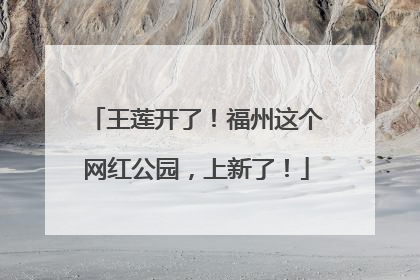 王莲开了！福州这个网红公园，上新了！