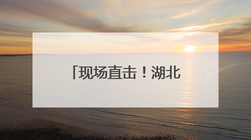 现场直击！湖北竹山护林员实拍国家二级保护动物