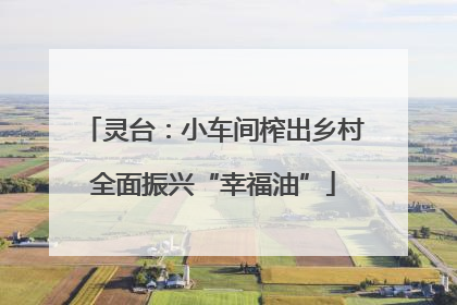 灵台：小车间榨出乡村全面振兴“幸福油”