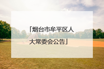烟台市牟平区人大常委会公告
