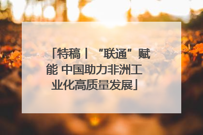 特稿丨“联通”赋能 中国助力非洲工业化高质量发展